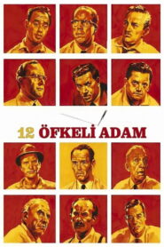 12 Öfkeli Adam