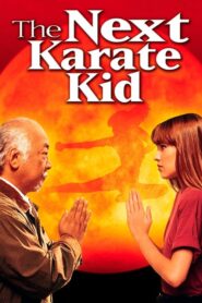 The Karate Kid Part IV