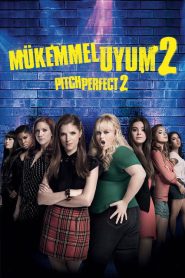 Mükemmel Uyum 2 2015 izle