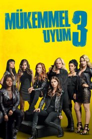 Mükemmel Uyum 3 2017 izle