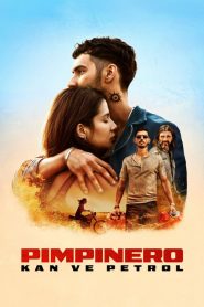 Pimpinero: Kan ve Petrol 2024 izle